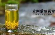 何春雷揭示：蒙顶黄芽如何帮助消脂和降低血糖