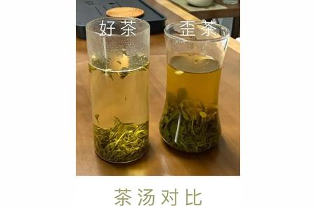 茉莉花茶品牌大盘点：哪些品牌值得信赖？