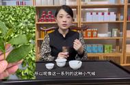 南崎铁观音的独特魅力：为何深受茶友喜爱？