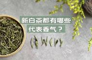 新白茶的三大香型揭秘，看完再喝，你敢挑战吗？