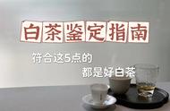 购买白茶的五大要点：轻松识别劣质、变质和假冒产品