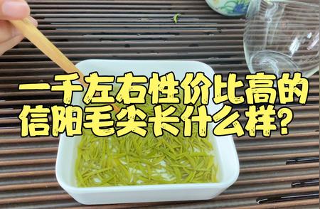 一千元左右性价比之选：信阳毛尖品鉴指南